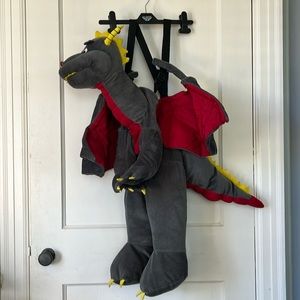 Children’s dragon rider costume
